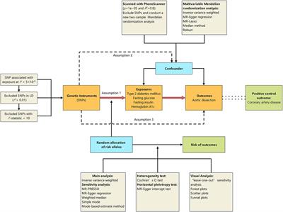 Genetic predisposition to type 2 diabetes mellitus and aortic dissection: a Mendelian randomisation study